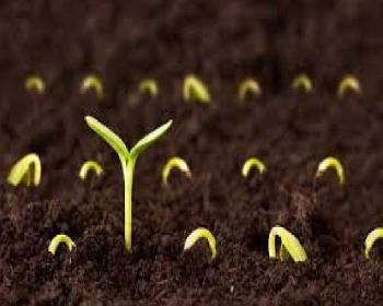 Yeryüzü Tohumları İnisiyatifi’Nden Akıncı Ve Şahali’Ye Teşekkür