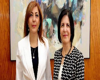 Yurtdışı Temsilcilikleri