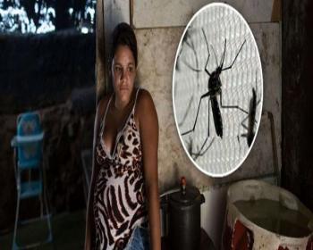 Zika Virüsü Cinsel Yolla Da Bulaşıyor