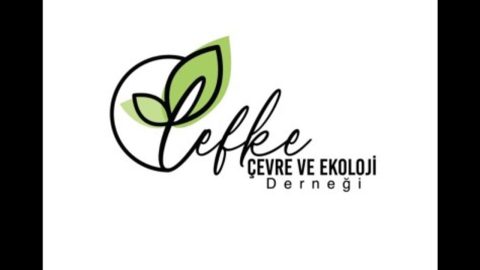Başıboş köpeklerin oluşturduğu tehlikeye karşı acil önlem alınmalı