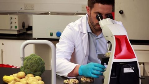 6 üründe limit üstü veya tavsiye dışı bitki koruma ürünü tespit edildi