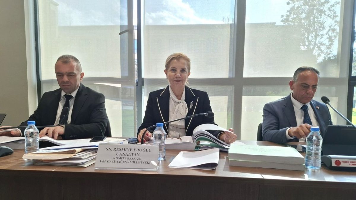 Başbakanlık bütçesi komitede görüşülüyor