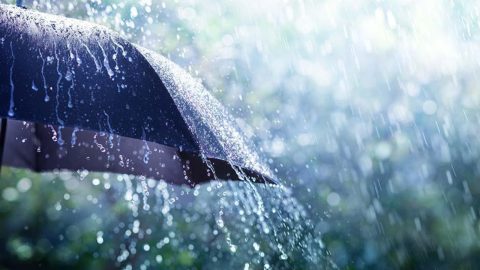 Hava cumaya kadar yağmurlu olacak.