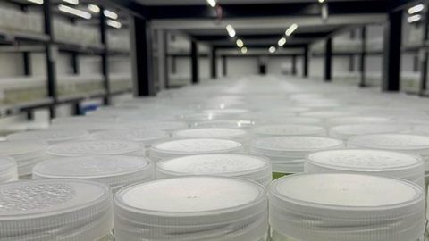 ABD'de "yasa dışı biyolojik laboratuvar" işletildiği şüphesiyle İsrail vatandaşı 1 kişi gözaltına alındı