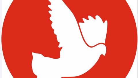 TDP: “Kamu yararı olmayan kararları iptal edeceğiz”