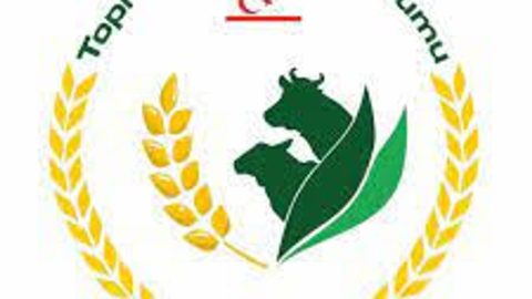 TÜK yemlik arpanın çarşambe günü gelmesinin beklendiğini açıkladı