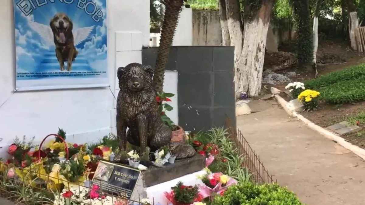 Brezilya'da evcil hayvanlar sahipleriyle birlikte gömülebilecek! "Mezarcı Bob" ilham oldu