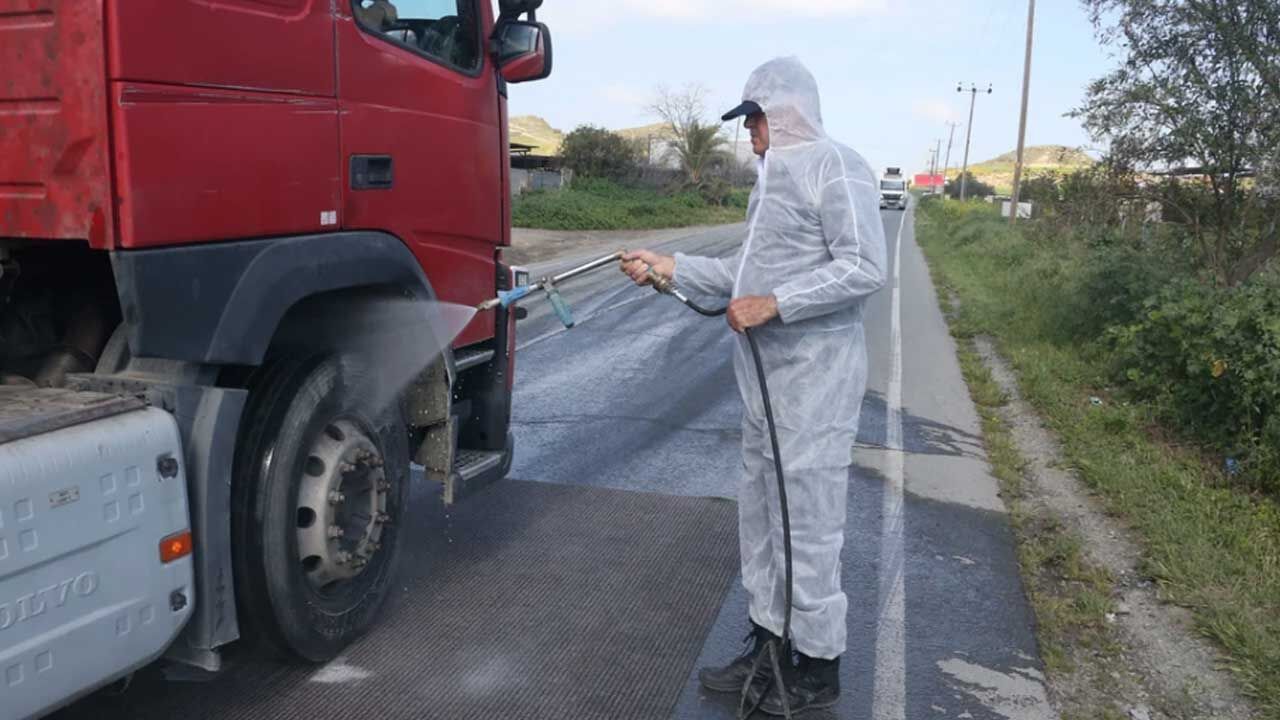 Güney Kıbrıs'ta şap hastalığı yayılmaya devam ediyor