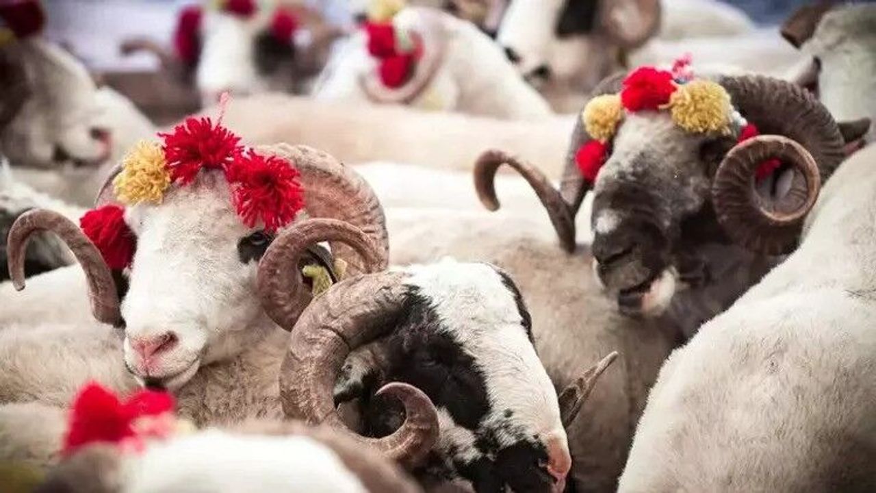 Kurban Bayramı devam ediyor