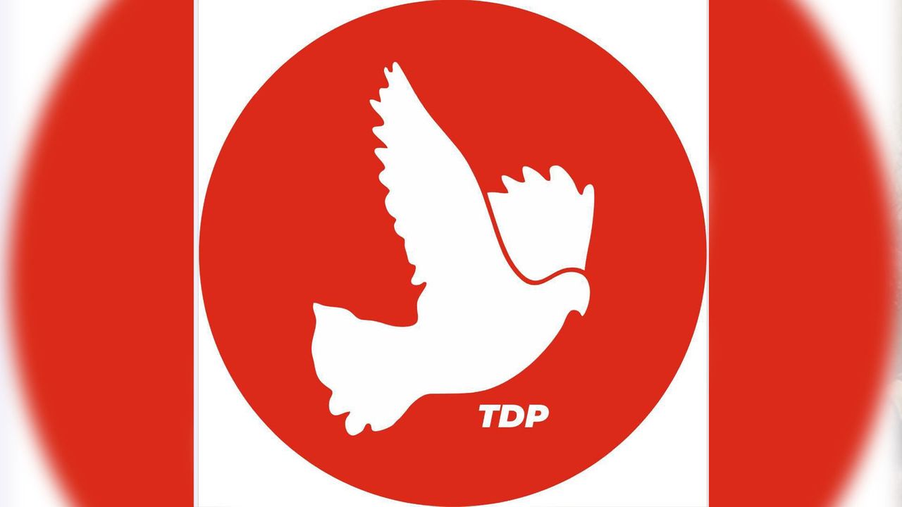 TDP, 1 Haziran Dünya Çocuk Günü dolayısıyla mesaj yayımladı