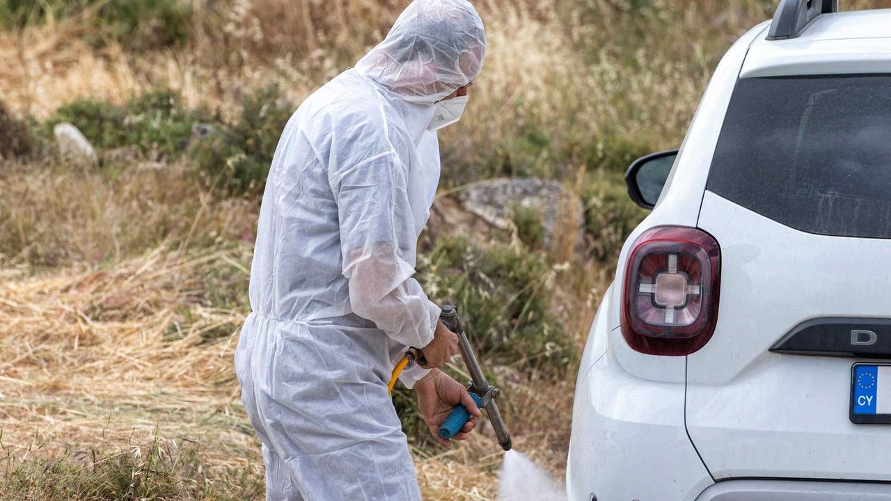 Güneyde şap hastalığıyla mücadeleye asker ve polis de dahil oluyor