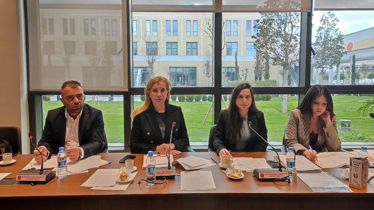 4 yasa tasarısı Genel Kurul'a sevk edildi