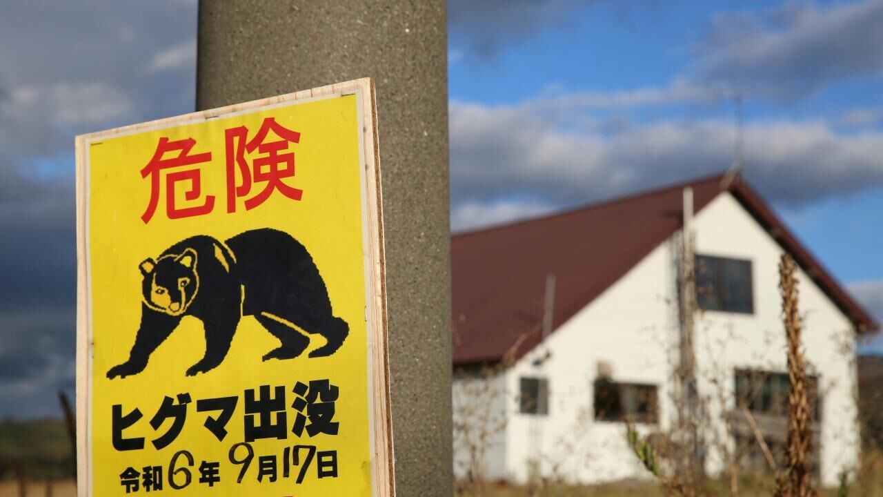Japonya'da bir fabrikaya giren ayının "pencereyi açıp kaçtığı" düşünülüyor