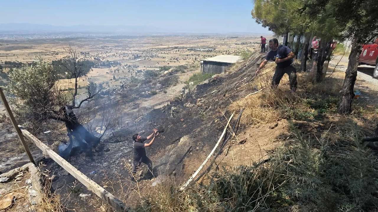 Taşkent Doğa Parkı yakınlarındaki yangın söndürüldü