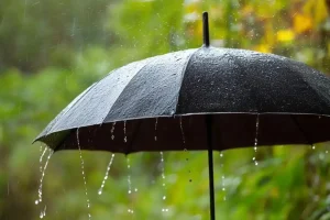 Hava bugünden itibaren üç gün yer yer yağmurlu olacak