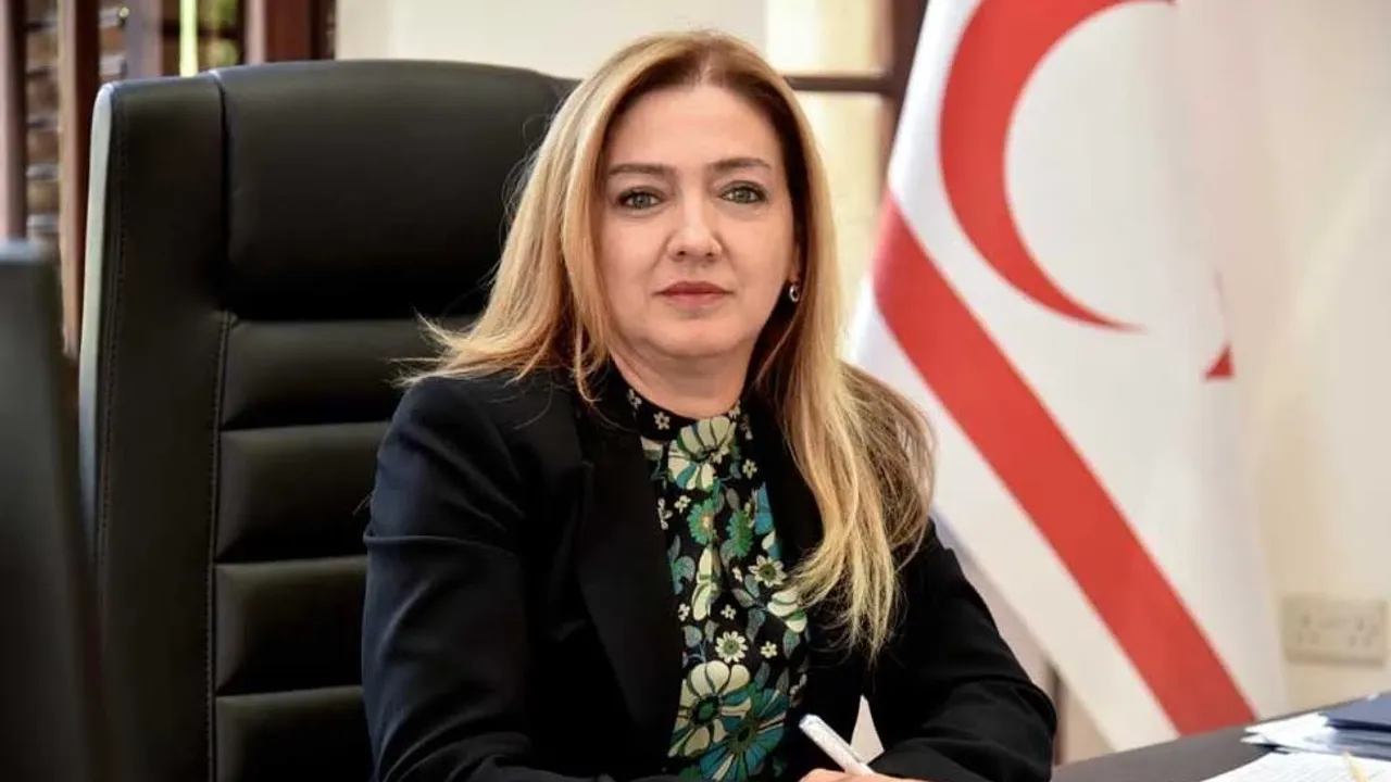 Varol: Karara bağlanmayan yasa gücünde kararnameler 90 günde yürürlükten kalkar