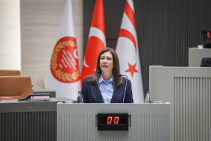 İncirli: Ülkenin dijital güvenliği ciddi bir güvenlik meselesi