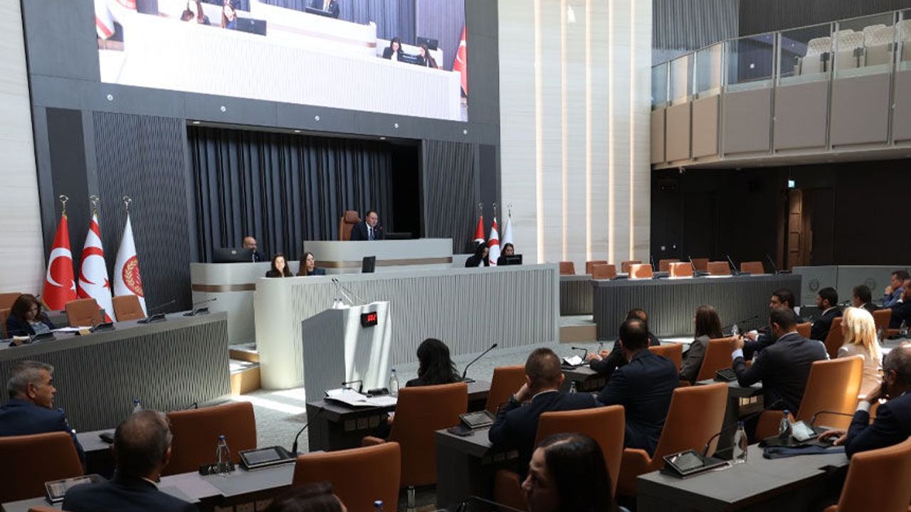 Meclis’te tarım, hayvancılık, çevre ve hükümetin icraatları tartışıldı