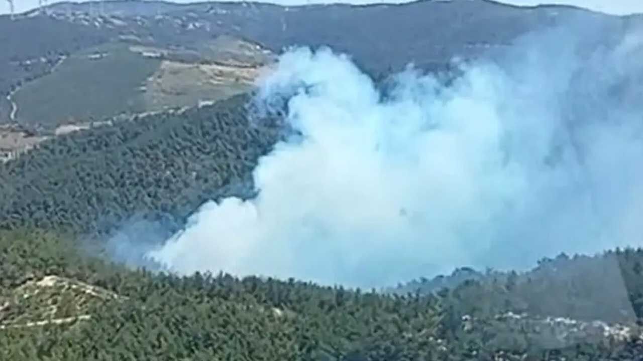 Manisa Soma'da orman yangını