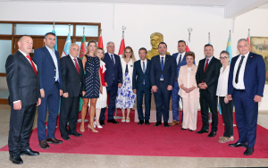 Ertuğruloğlu: Kıbrıs sorunu çözülmüştür
