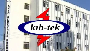 Trafo merkezine giren yılan elektrik kesintisine neden oldu