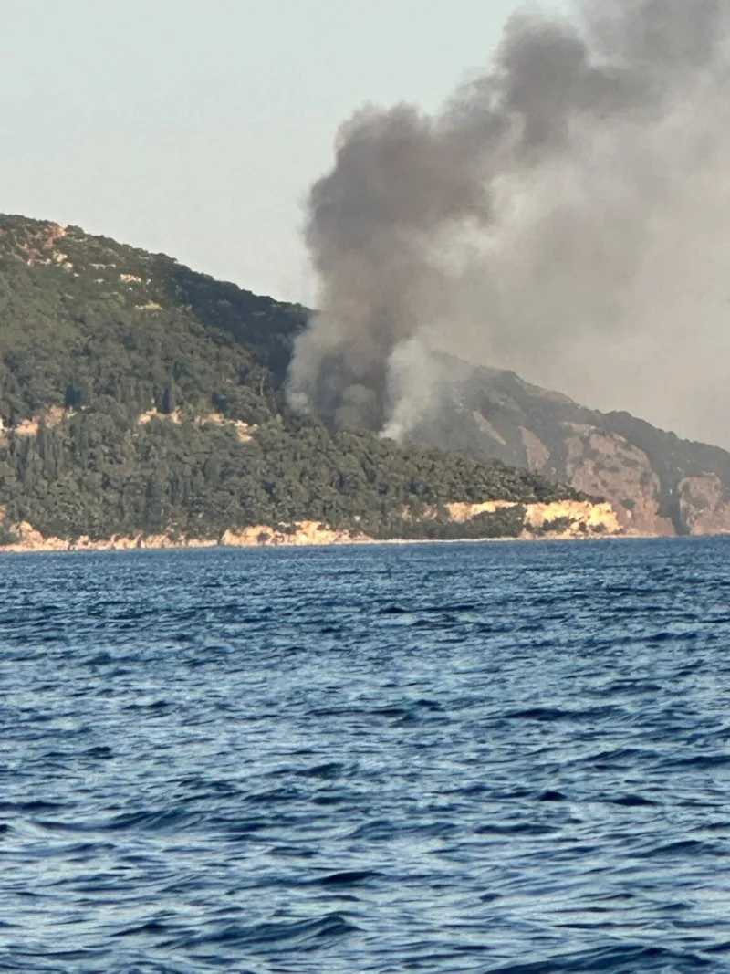İstanbul Büyükada’daki bir plajda başlayan yangın ormana sıçradı!