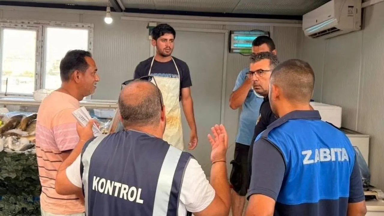 Lefkoşa pazarında denetim: 7 kilo hamsiye el konuldu