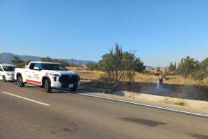 Çınarlı’da ormanlık alanda çıkan yangın söndürüldü