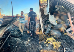 Haspolat’taki yangında 2 kişi dumandan etkilendi, 30’dan fazla hayvan telef oldu