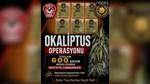 Okaliptus Operasyonu’nda 3 tutuklama!