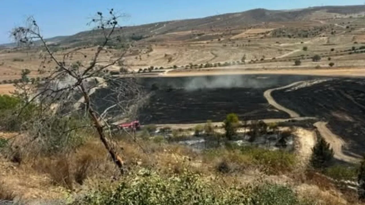 Güney Kıbrıs'ta büyük yangın!