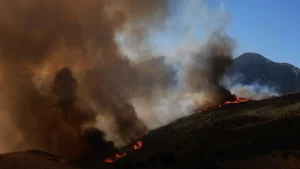 Yunanistan’ın çeşitli bölgelerinde 51 yeni orman yangını çıktı