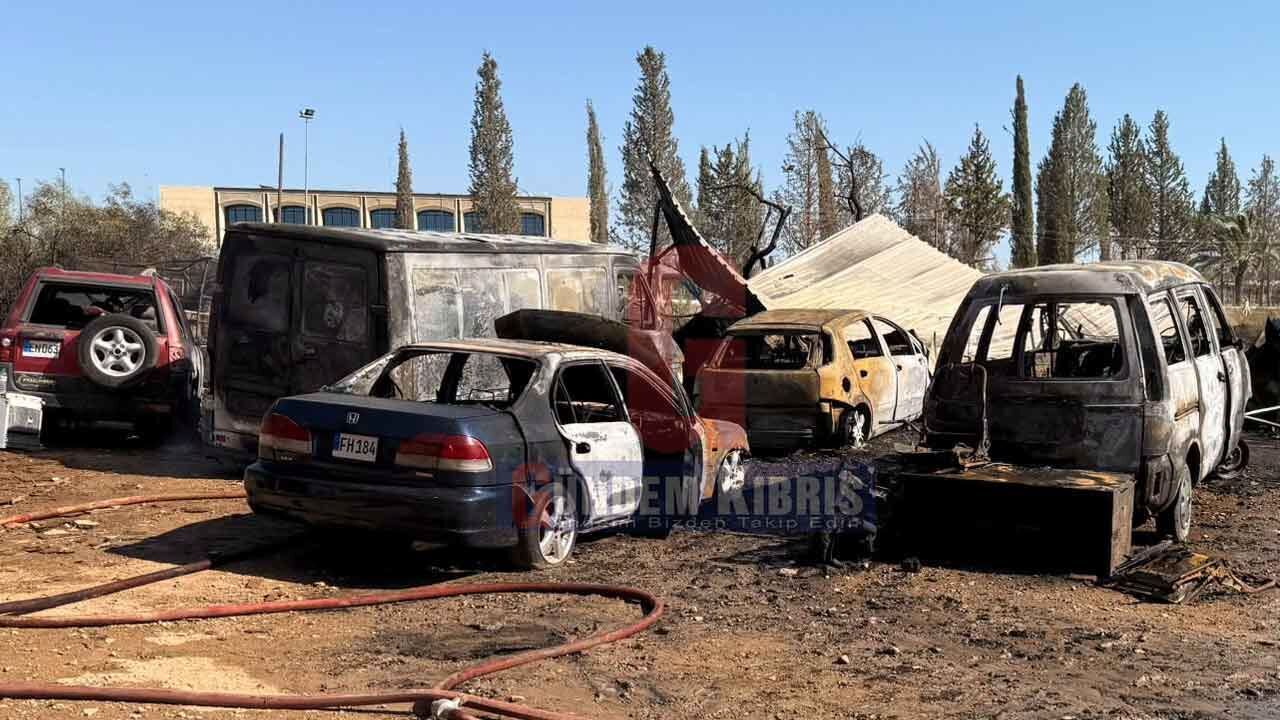 Alevler tamirhaneyi yuttu: Araçlar kül oldu, çok sayıda hayvan telef oldu