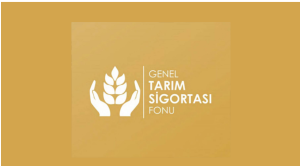 Dolu zararı için 9 üreticiye tazminat ödemeleri başladı