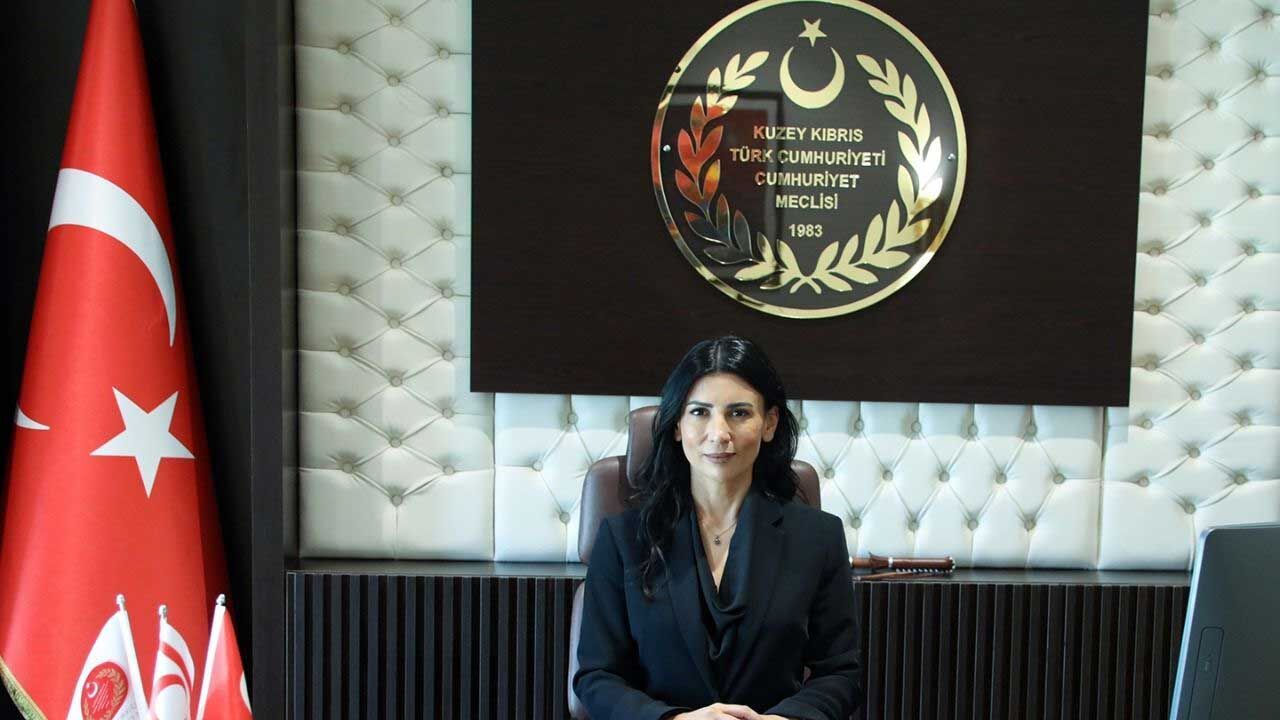 Özdenefe: Kadına Yönelik Şiddetle Mücadele Devletin Ertelenemez Sorumluluğudur