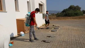 İskele’de haşereyle mücadelede ikinci etap