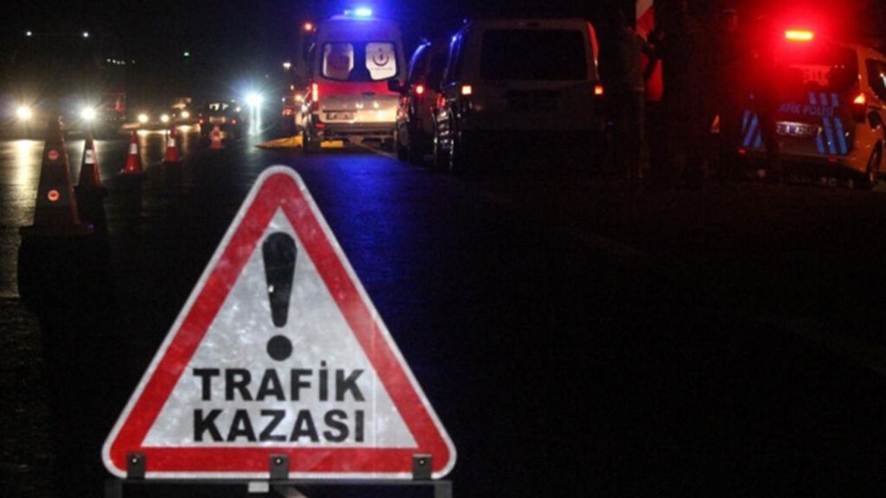 Alkollü sürücü yoldan çıktı