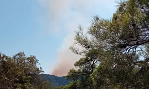 Baf’taki son yangınların kasıtlı çıkarıldığı düşünülüyor