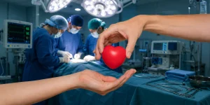 Güney Kıbrıs, Yunanistan ve İsrail arasında organ naklinde iş birliği