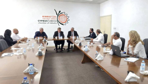 Krah: Kıbrıslı Türklerin sorunları Avrupa’da daha görünür olmalı