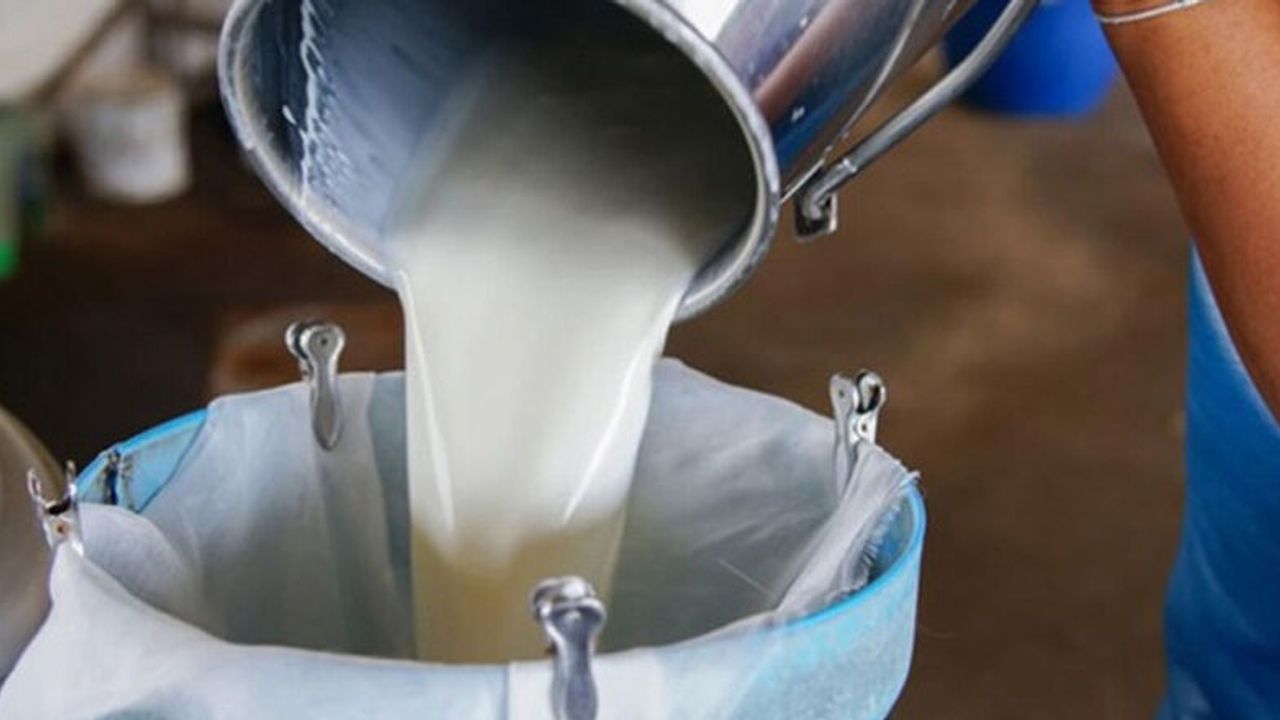Süt bedelleri ödendi… 210 milyon 943 bin 127 TL ödeme yapıldı