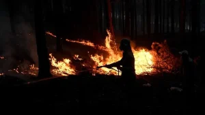 WMO: Sıcaklar ve yangınlar hava kalitesini tehdit ediyor