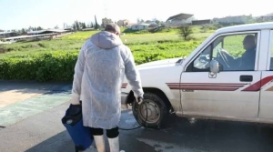Güney Kıbrıs’ta şap hastalığı kontrol altında