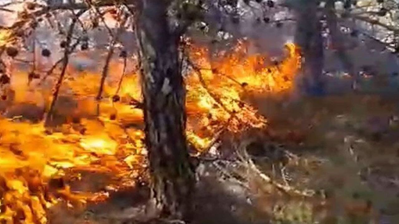 Güney'de yangın önlemede yapay zeka sistemi kurulacak