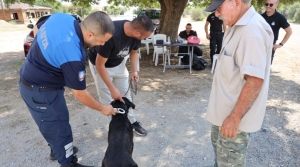 İskele ve köylerde köpekler kayıt altına alınıyor