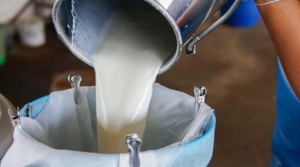 Çiğ süte yüzde 7 zam geldi, süt ürünleri imalatçıları tepki gösterdi