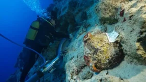 Dünyanın en eski gemi batığı Antalya’da keşfedildi
